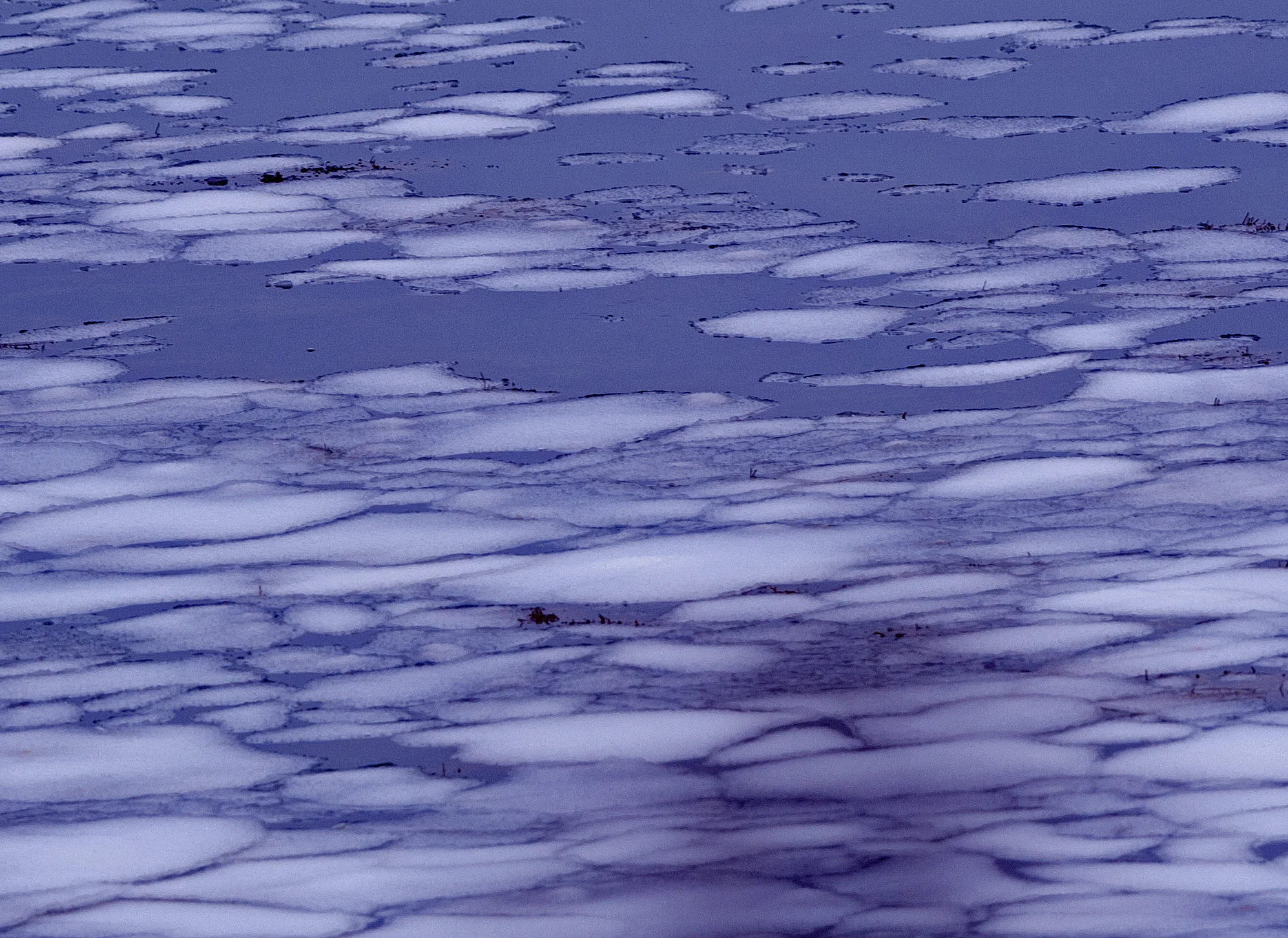 The Curious Incident of the Cutter in the Night