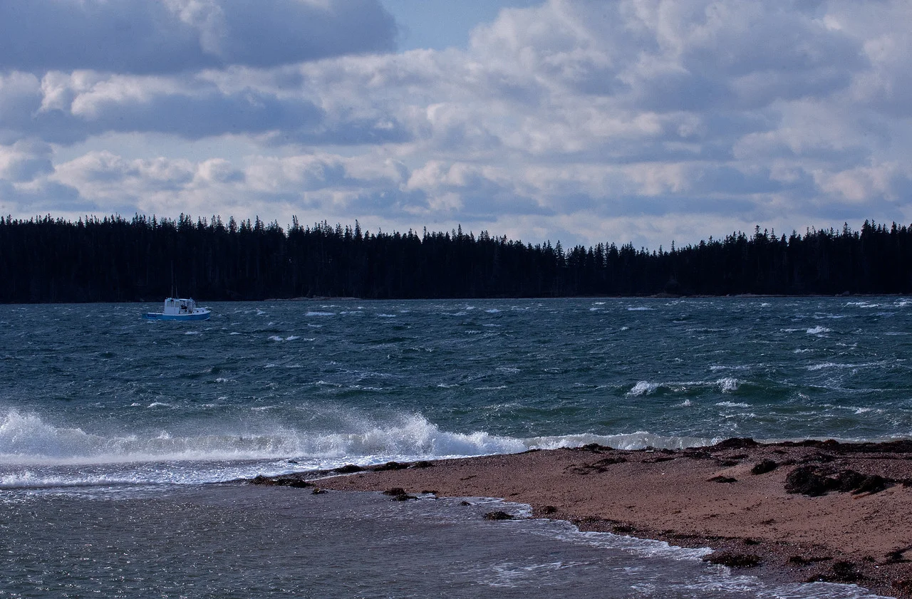 Postcards From Maine:  January Remembered