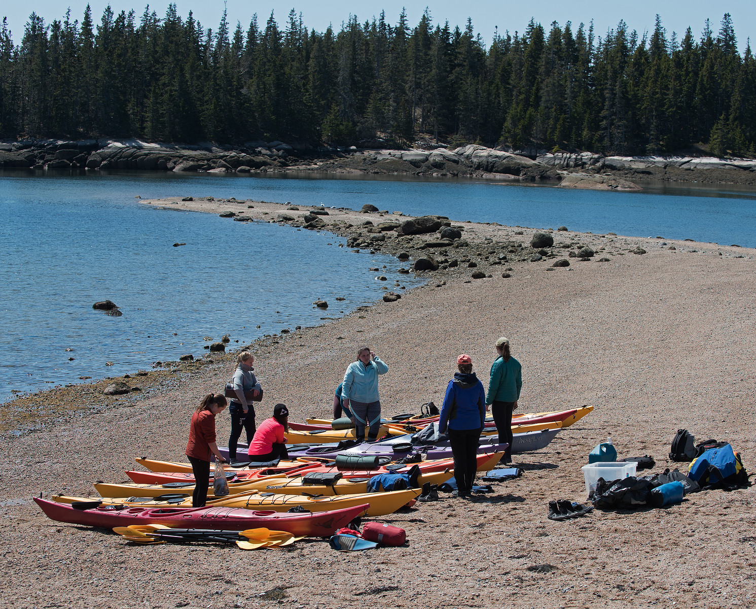 Kayaks.jpg