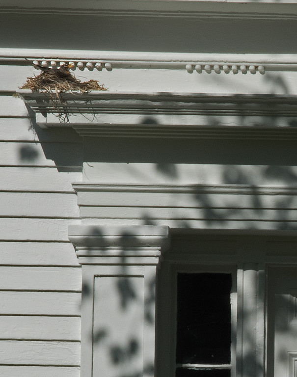Home 3.jpg