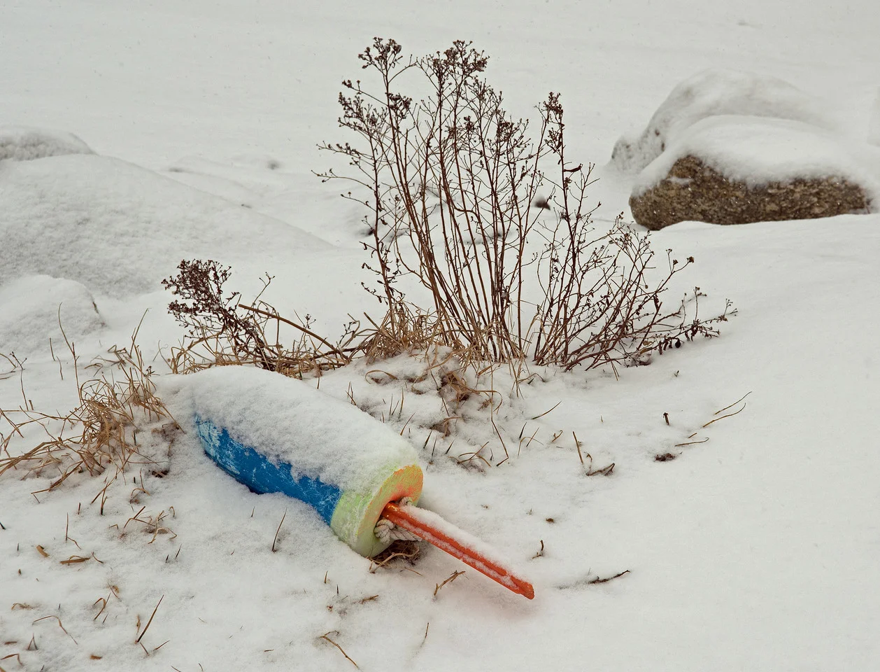 Feb 03.jpg