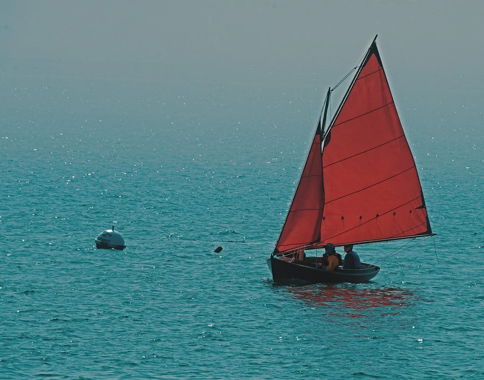 Camera info: Nikon D-810; 200-400 f/4 VR Nikkor Zoom Lens at 400mm; f/10; 1/2500 sec.; ISO 500.