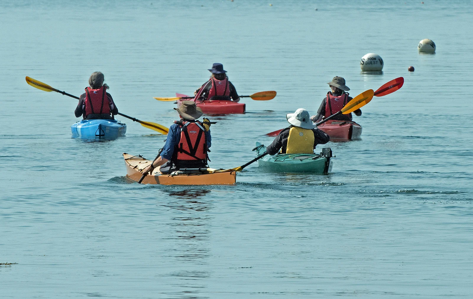 Photo info: Nikon D-810; 200-400 f/4 VR Nikkor Zoom Lens at 360 mm; f/1 4 ; 1/400 sec.; ISO 25 0.