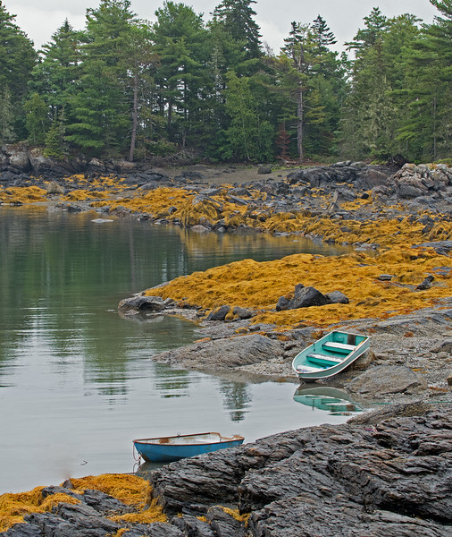 Image info: Nikon D-180; Nikkor 70-200mm, f/2.8 zoom lens at 70mm; f/13; 1/160 sec.; ISO 400.