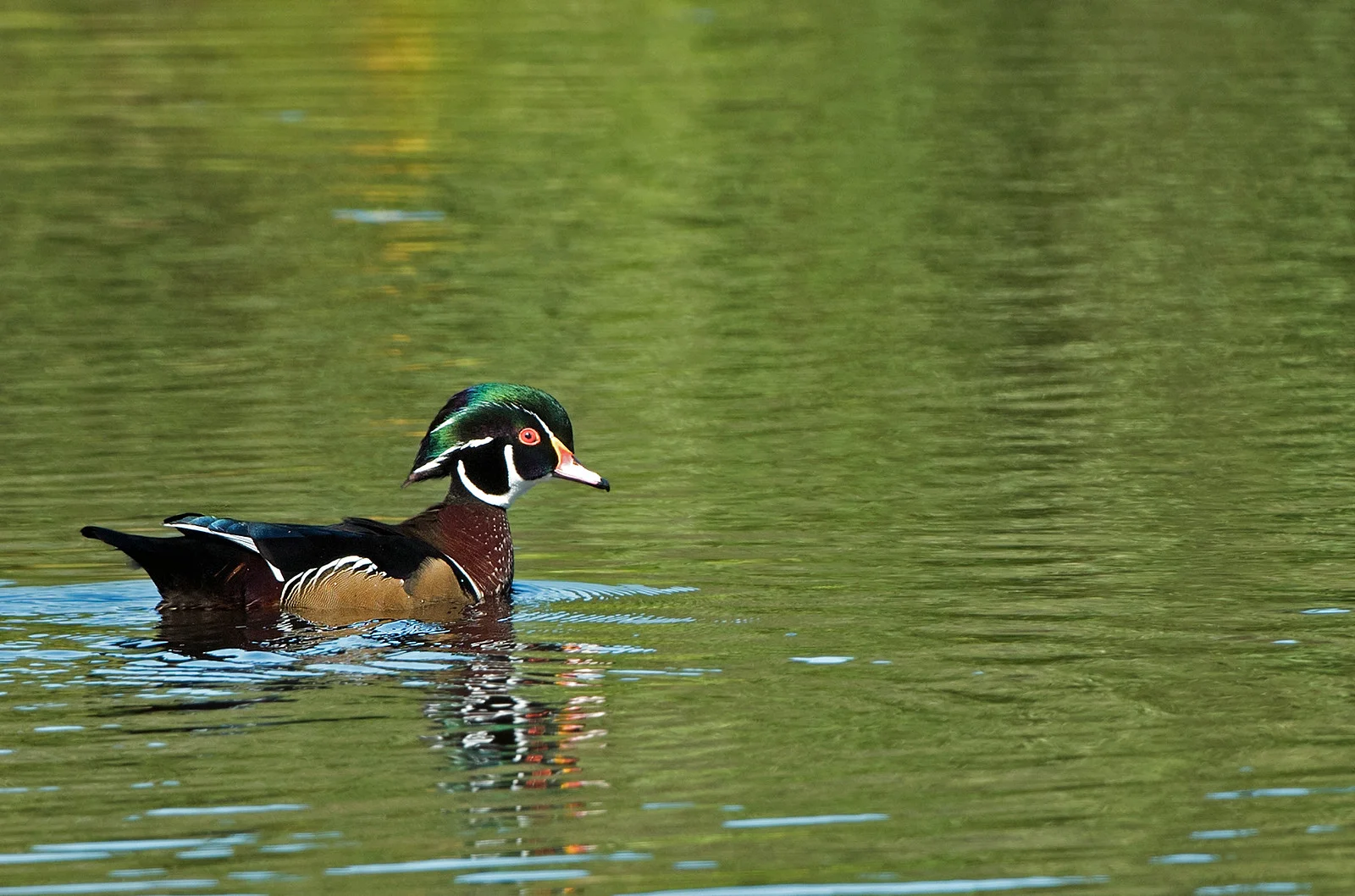 RJL_8632 edit 1-X3.jpg
