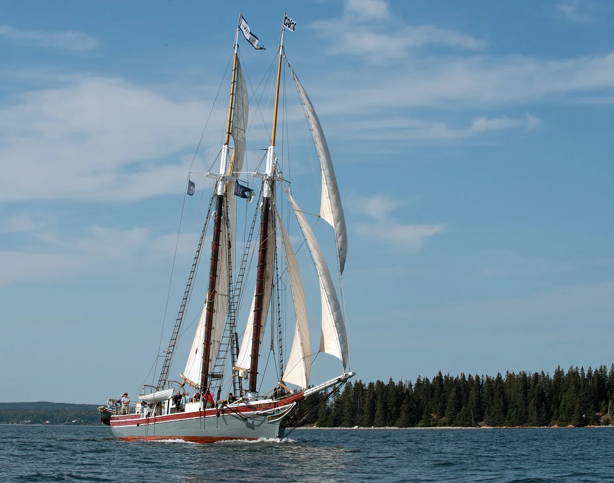 Sail 07.jpg