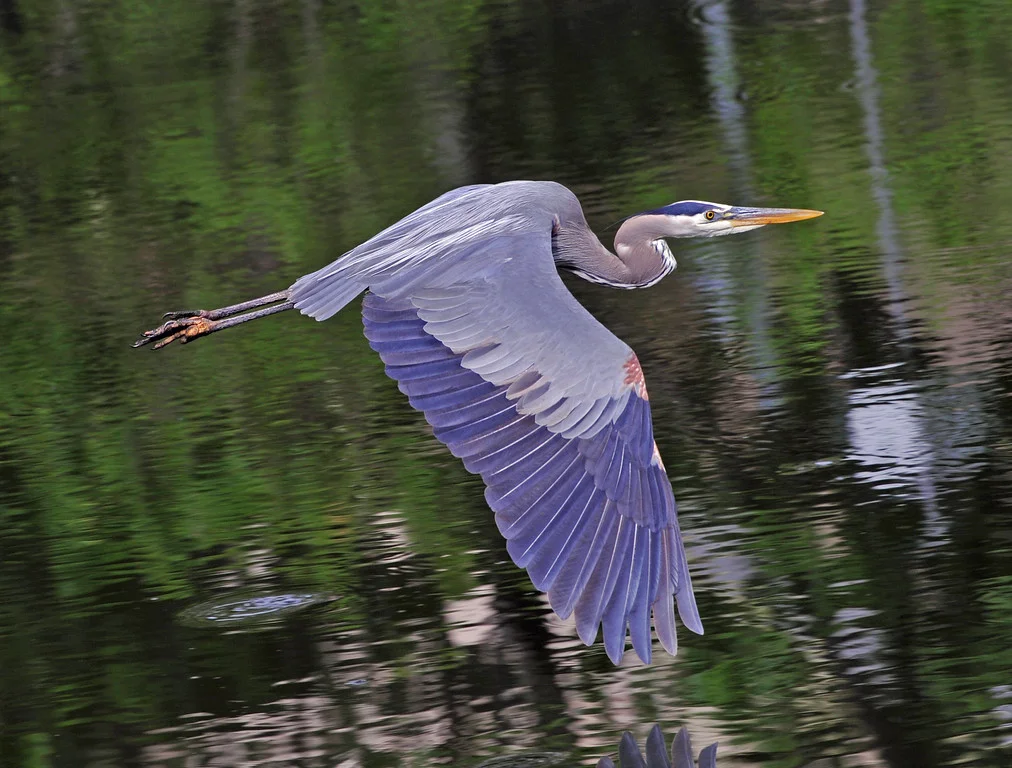 RJL_4323_edited-1-XL.jpg