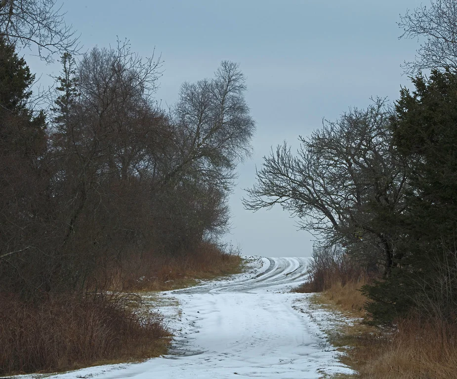 Jan 15.jpg