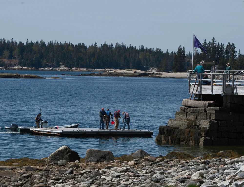 Pier 2.jpg