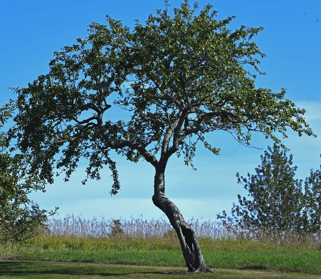 56.jpg