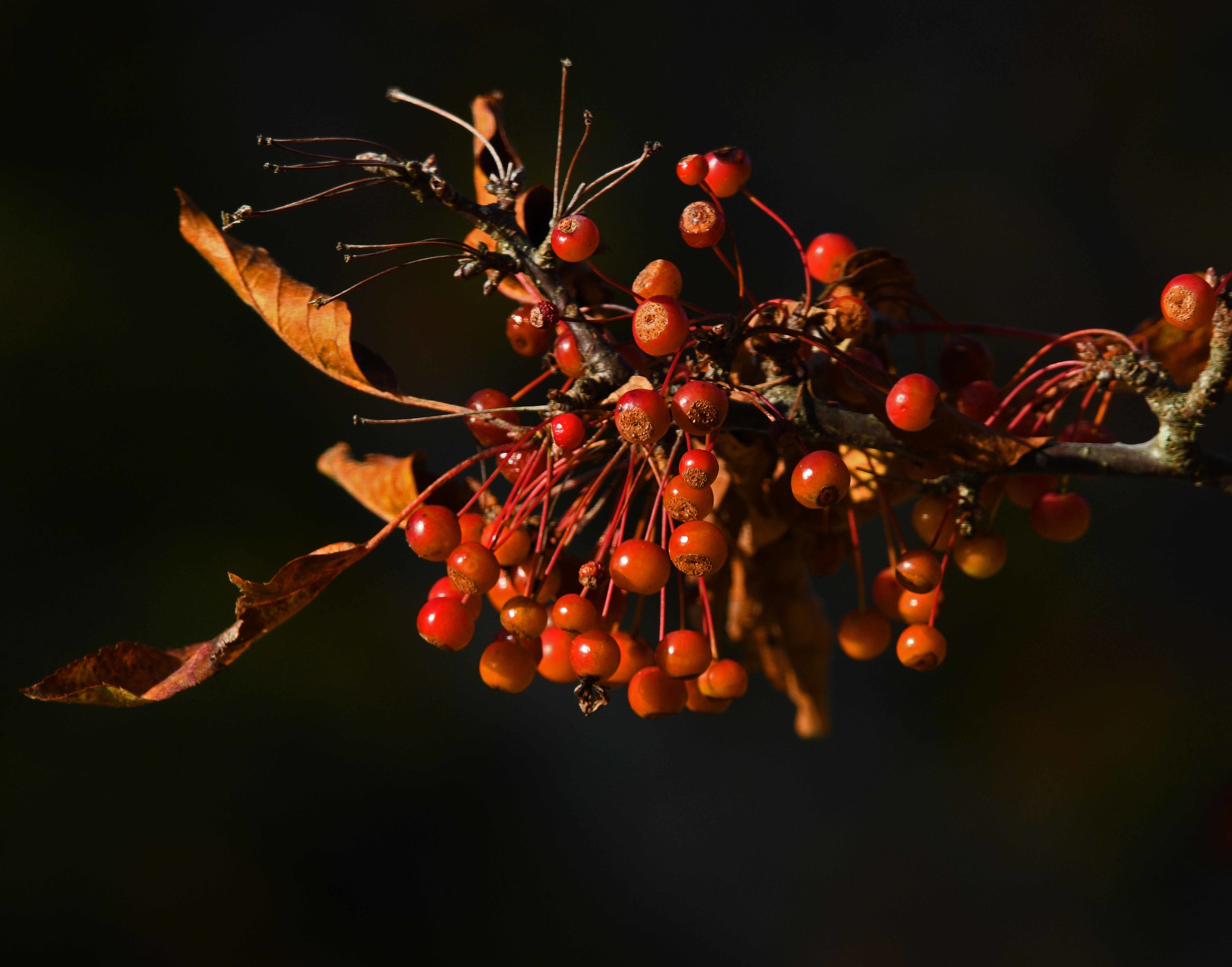 October Postcards From Maine