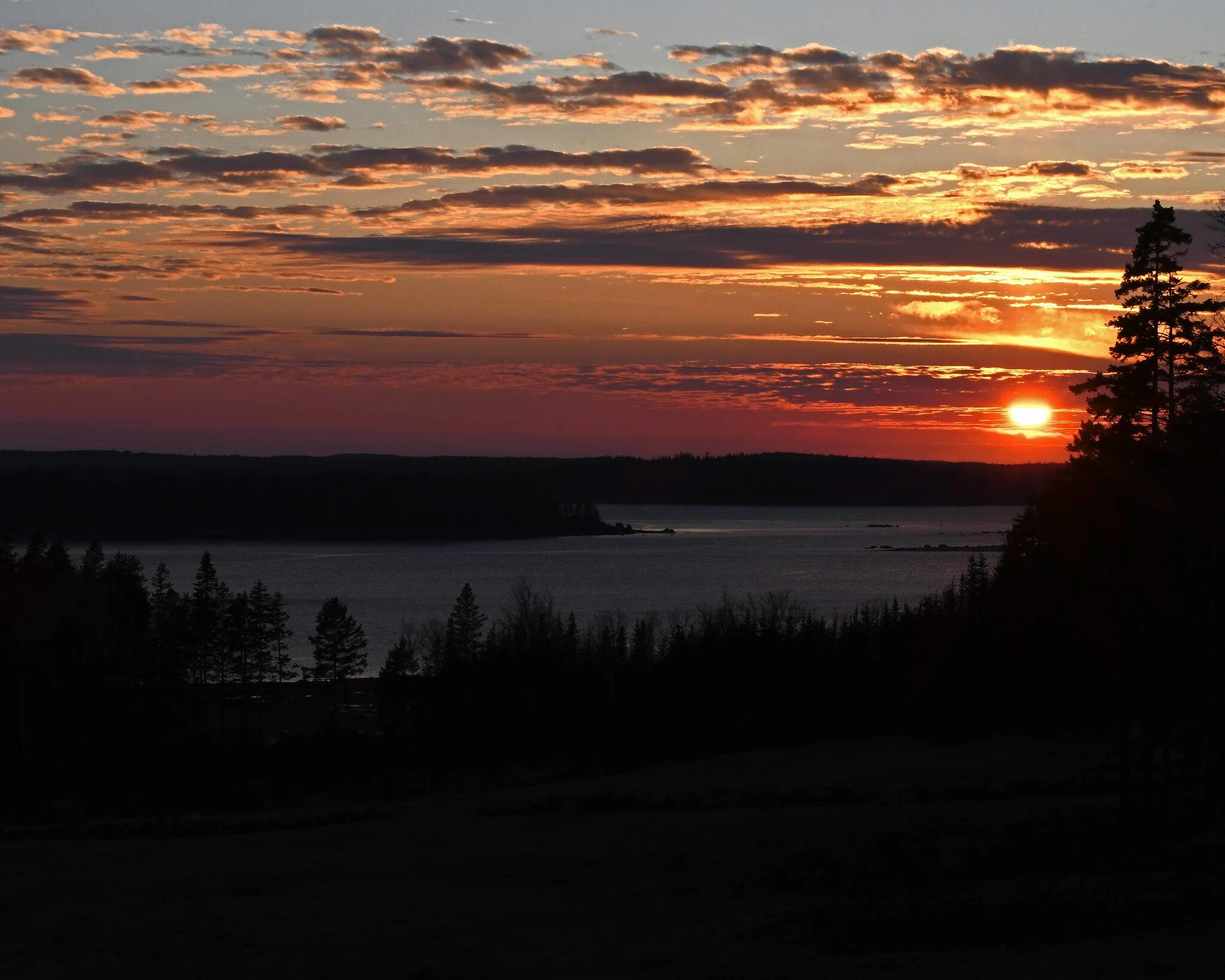 November Postcards From Maine