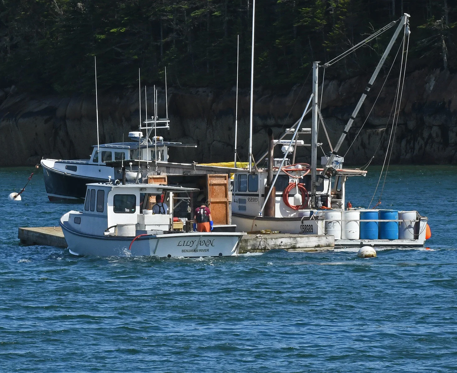 Journal — 5 Back Road۞ Photography