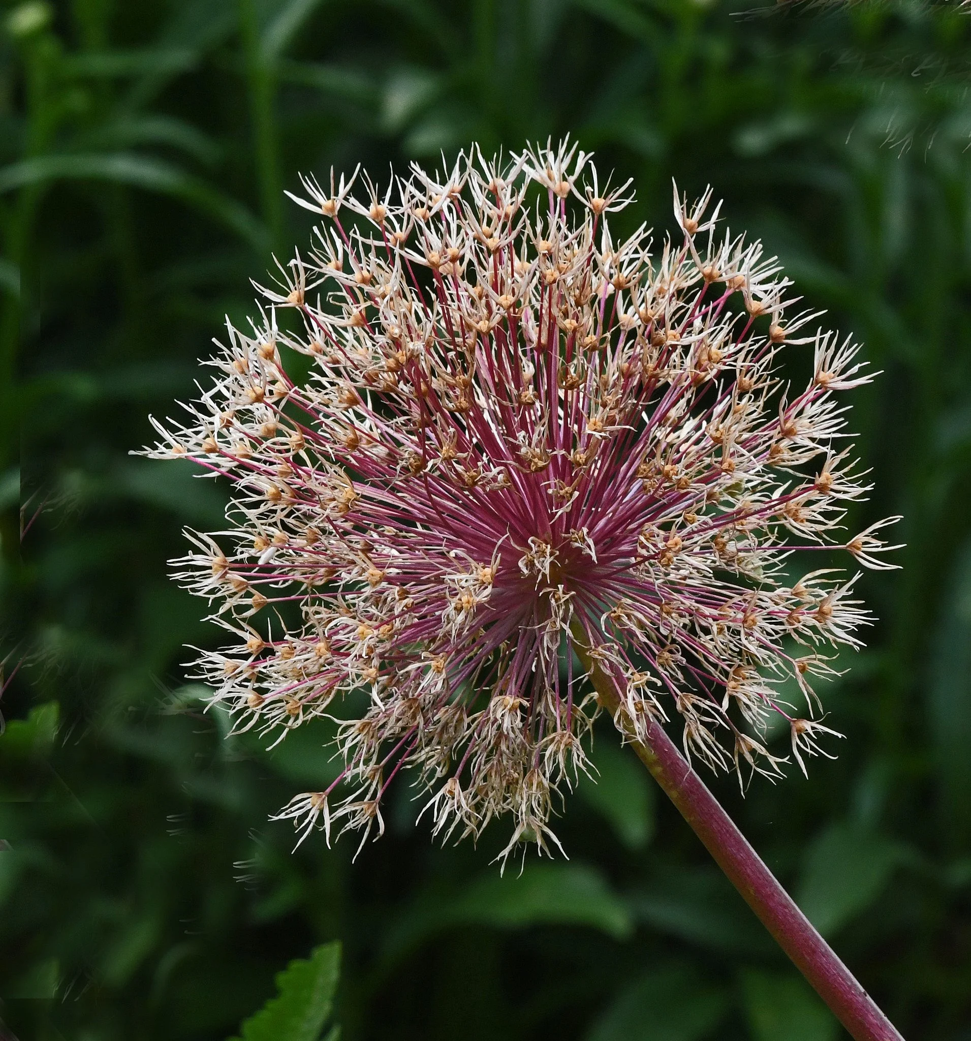 w10a.jpg