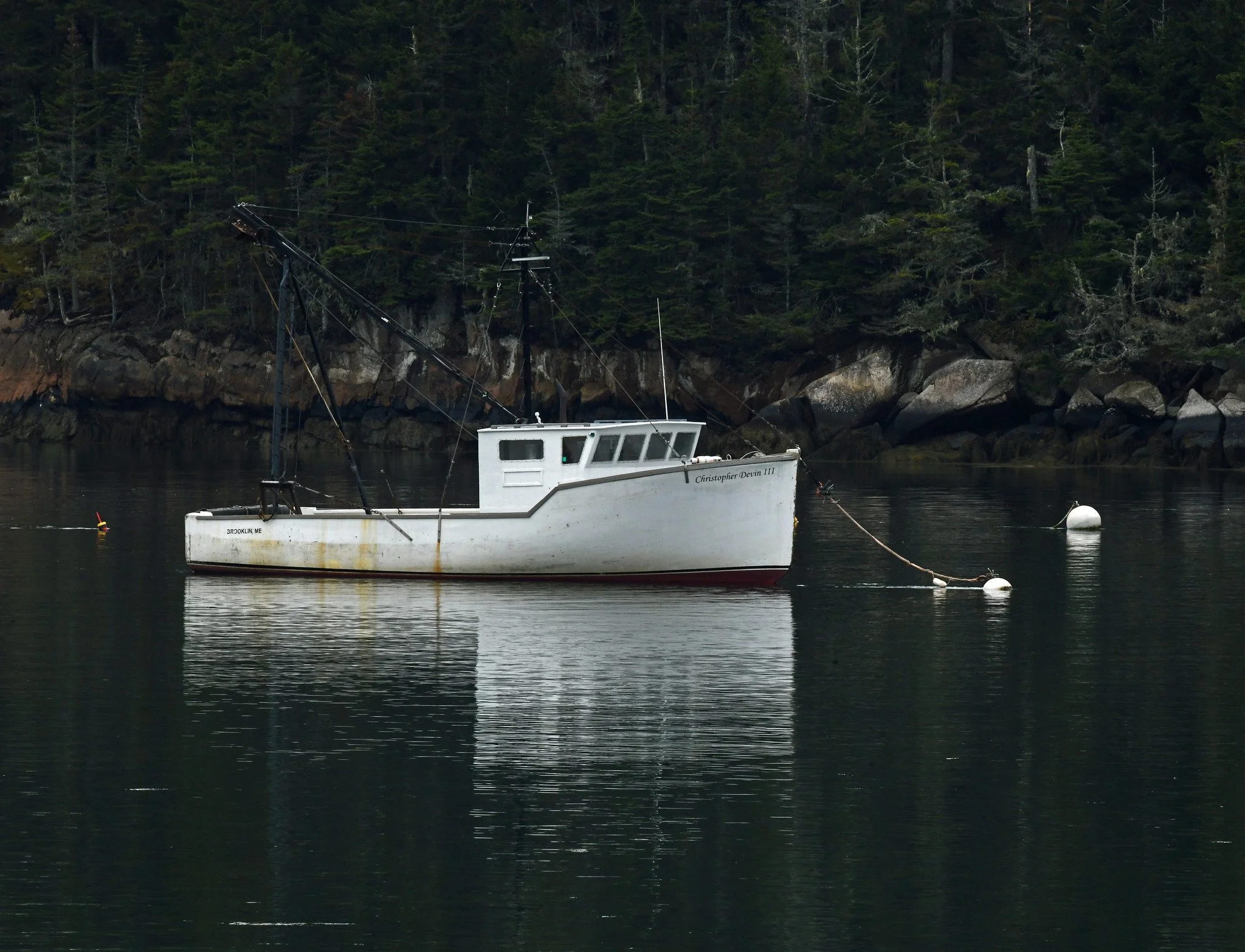 boats 2.jpg