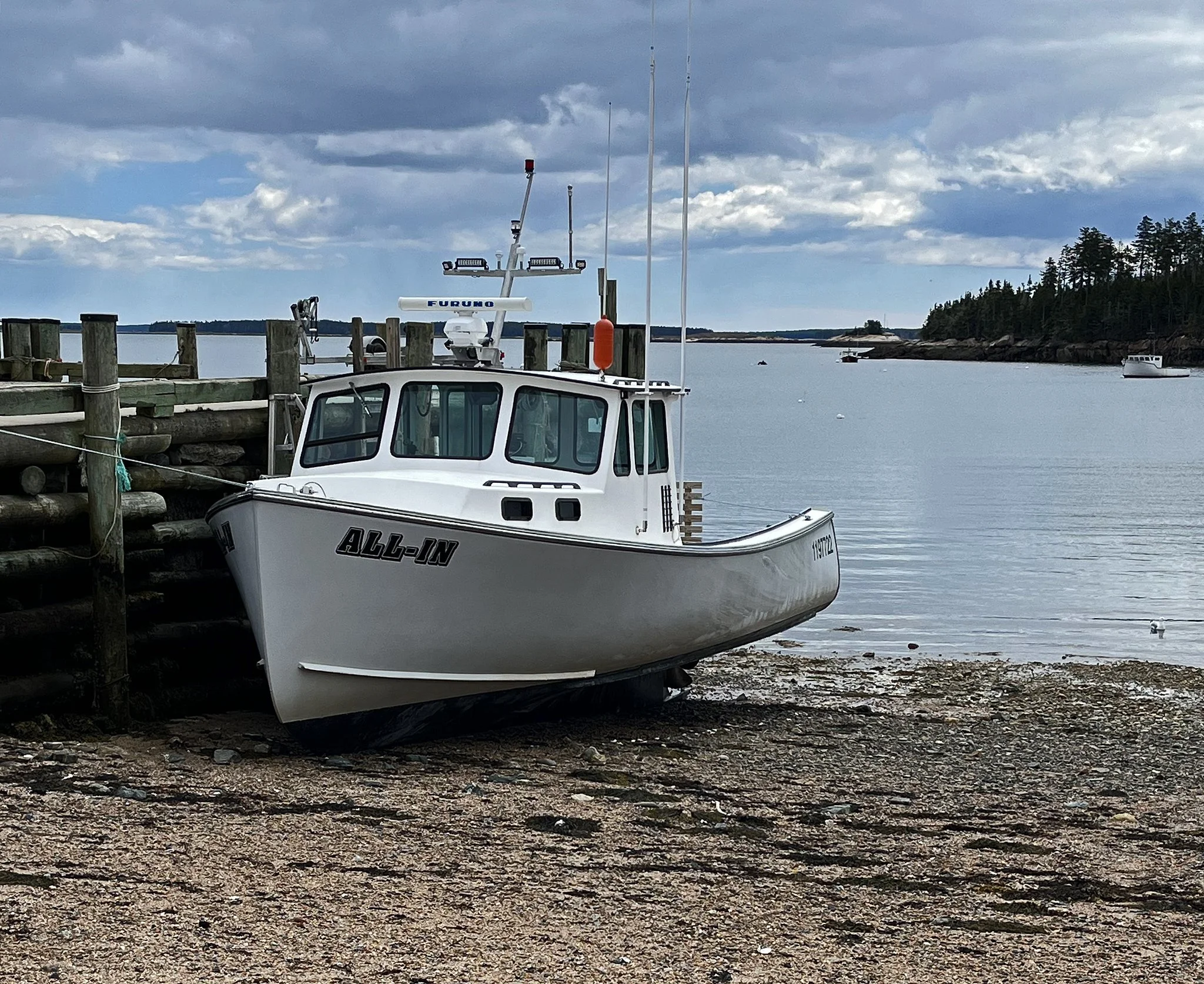 boats 1.jpg