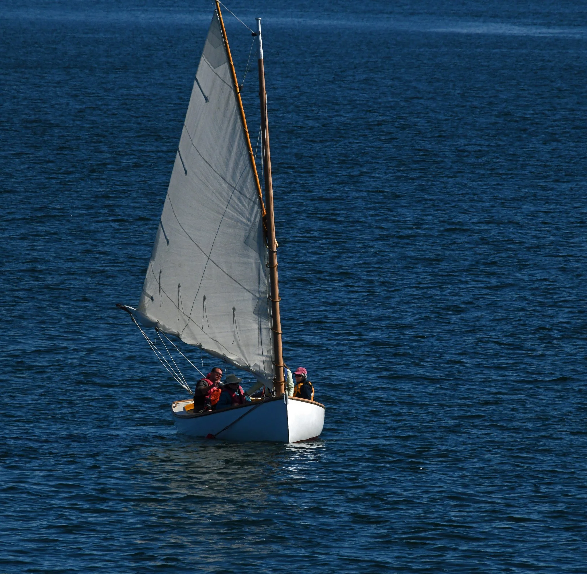 wb-2.jpg