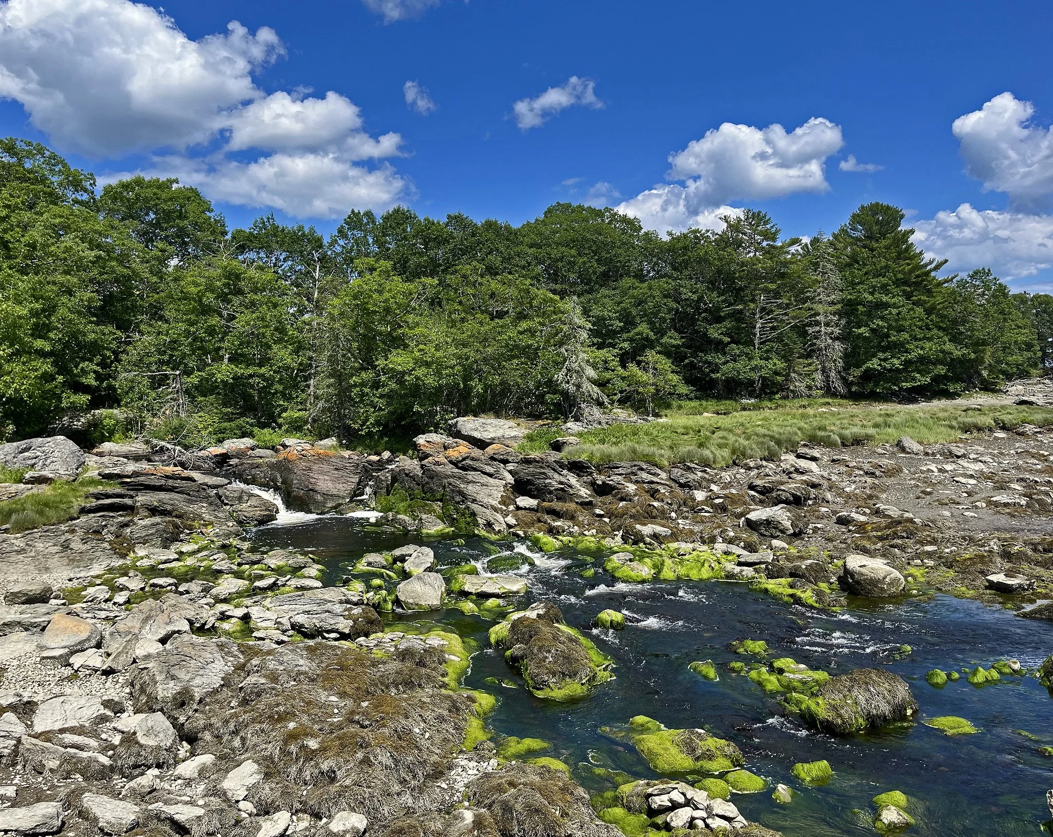 water-2.jpg