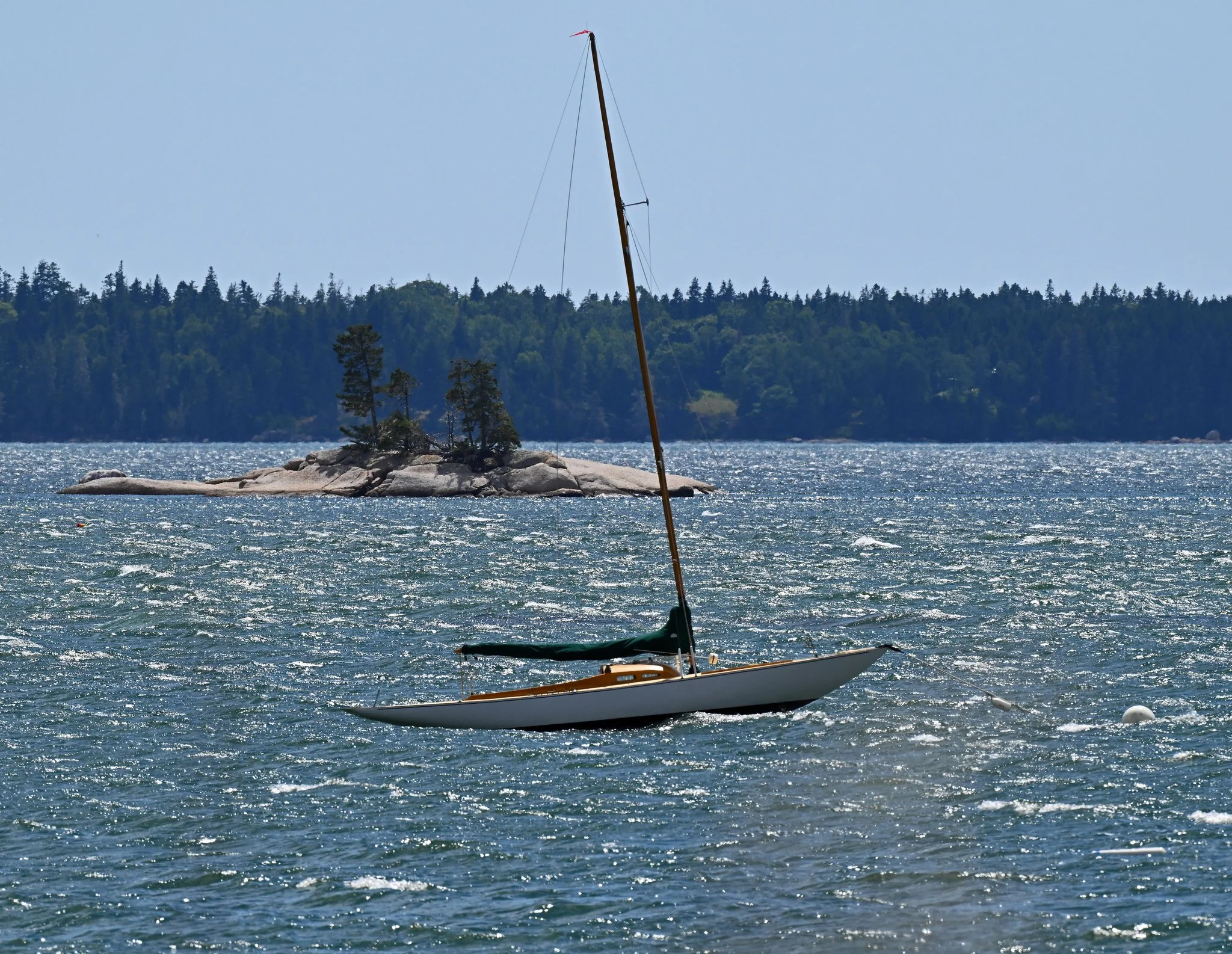 SB-3.jpg