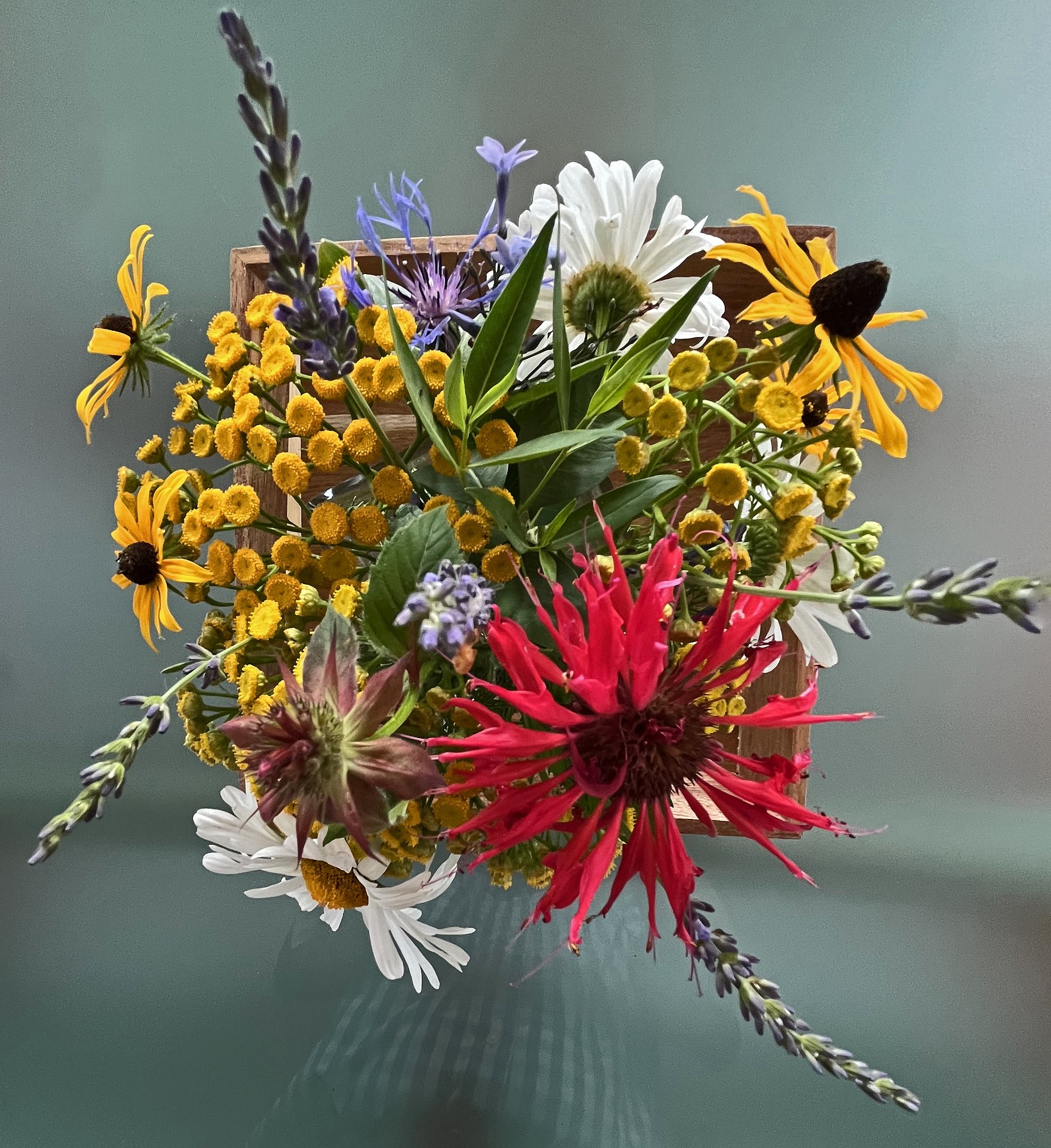garden-9a.jpg