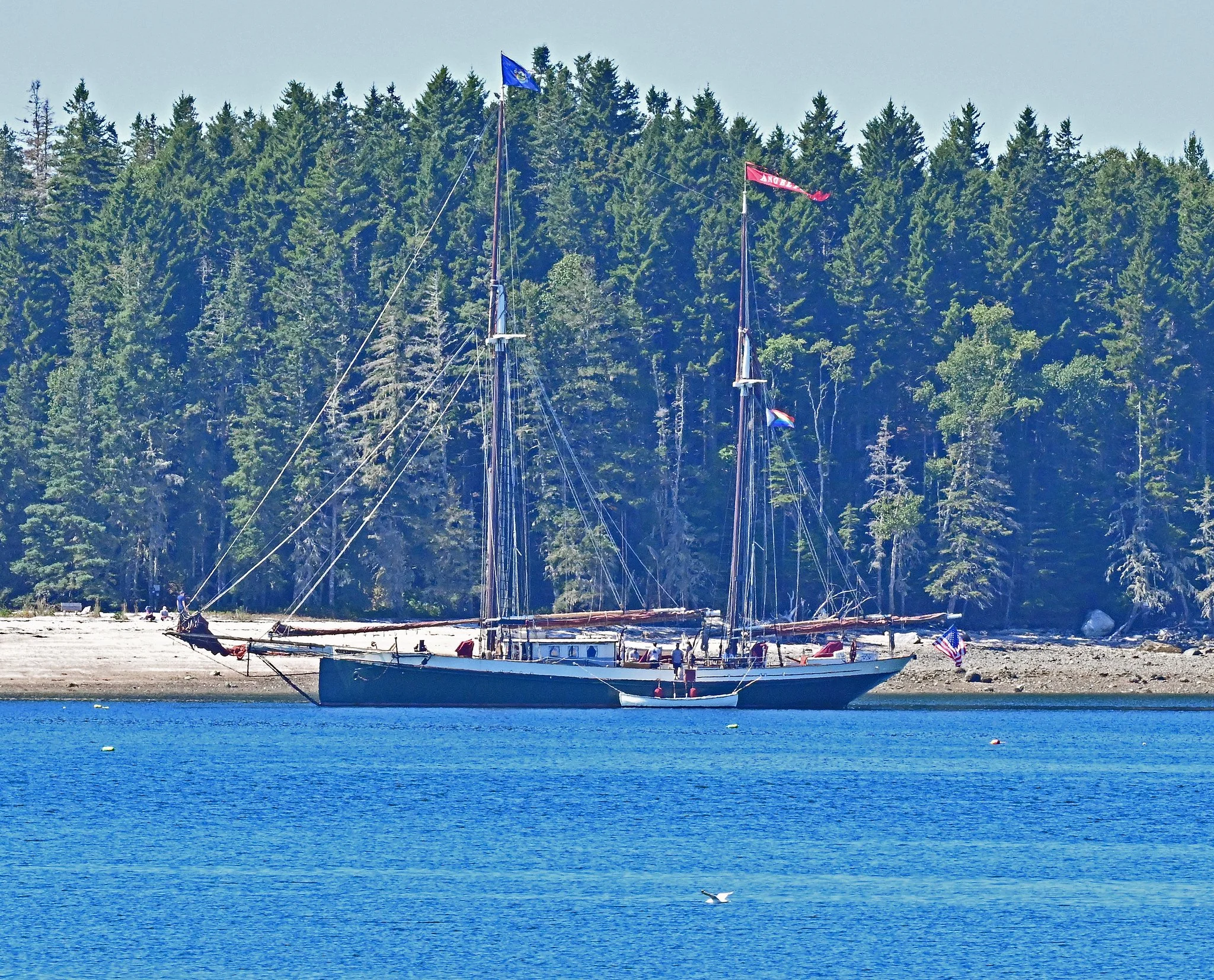 wj1.jpg