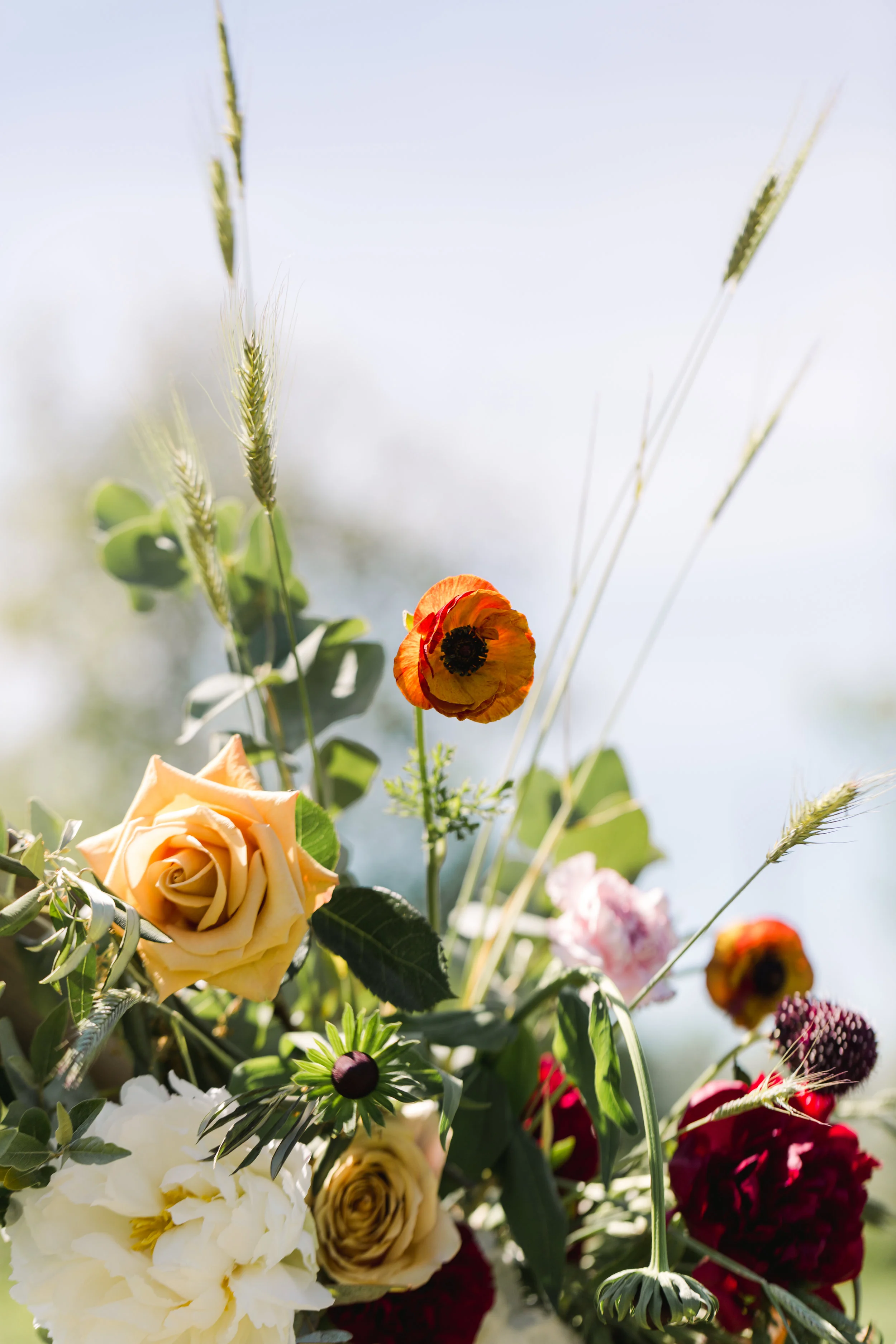 DarnellGraceWed_0302.jpg