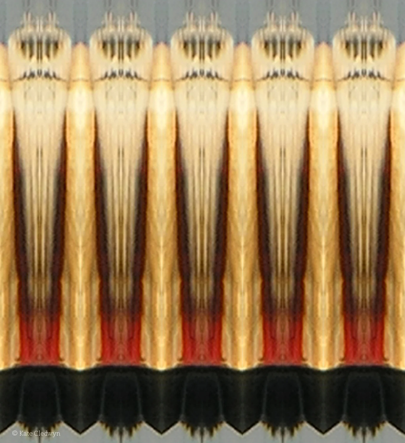 Sea Darts