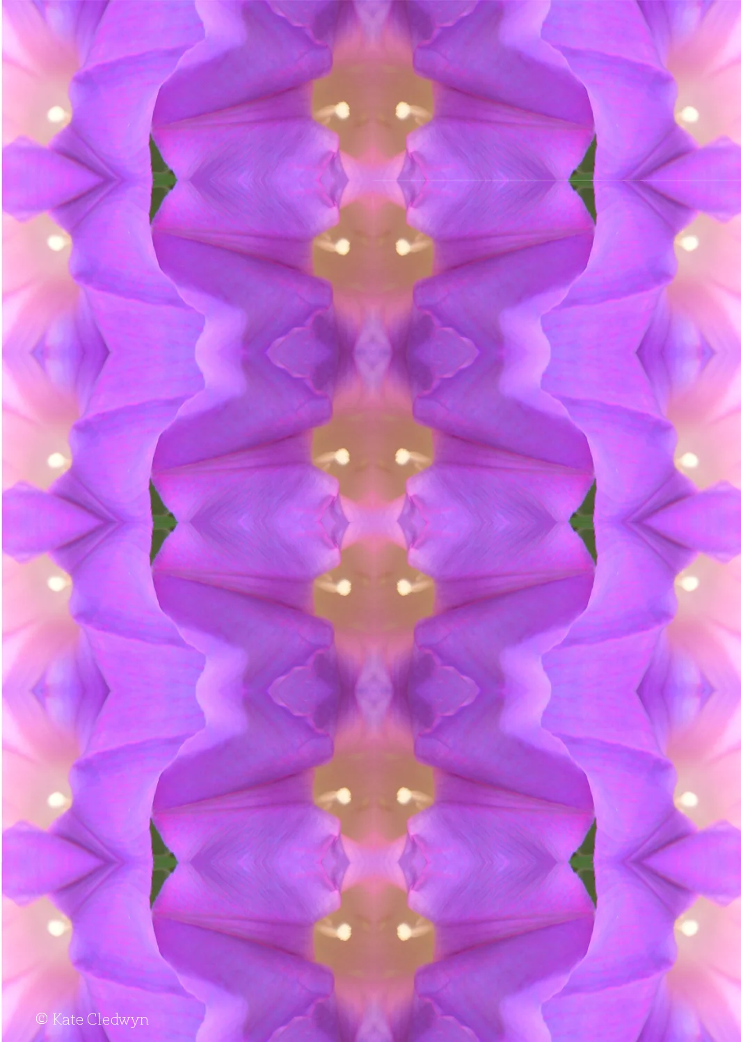 Mauve Merge