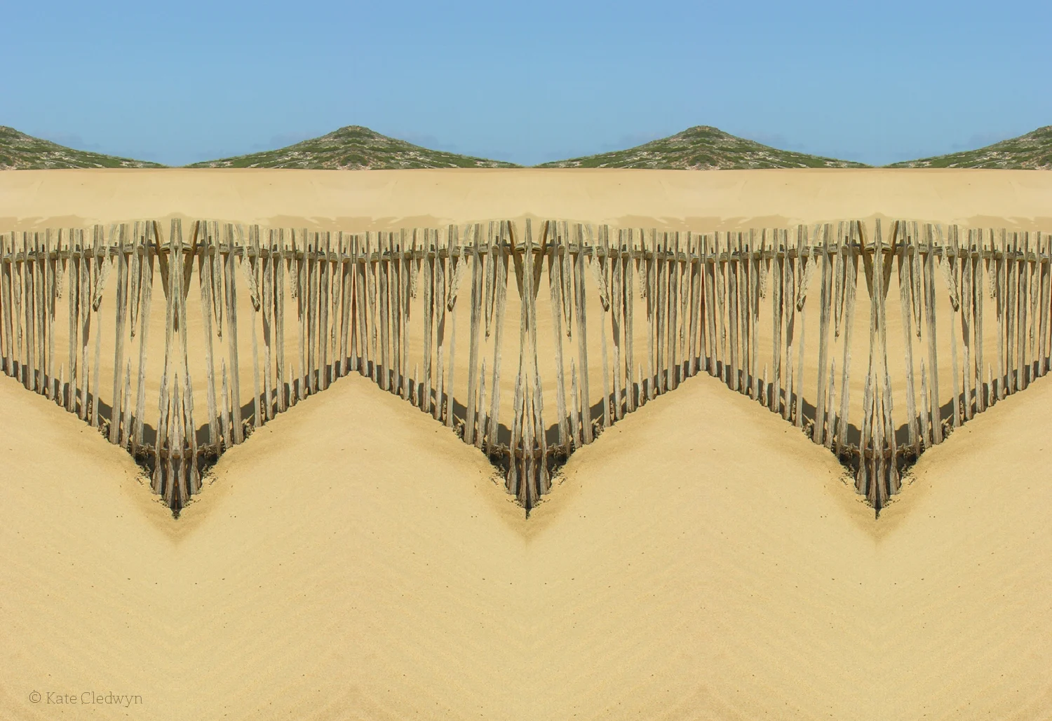 Beach Fence