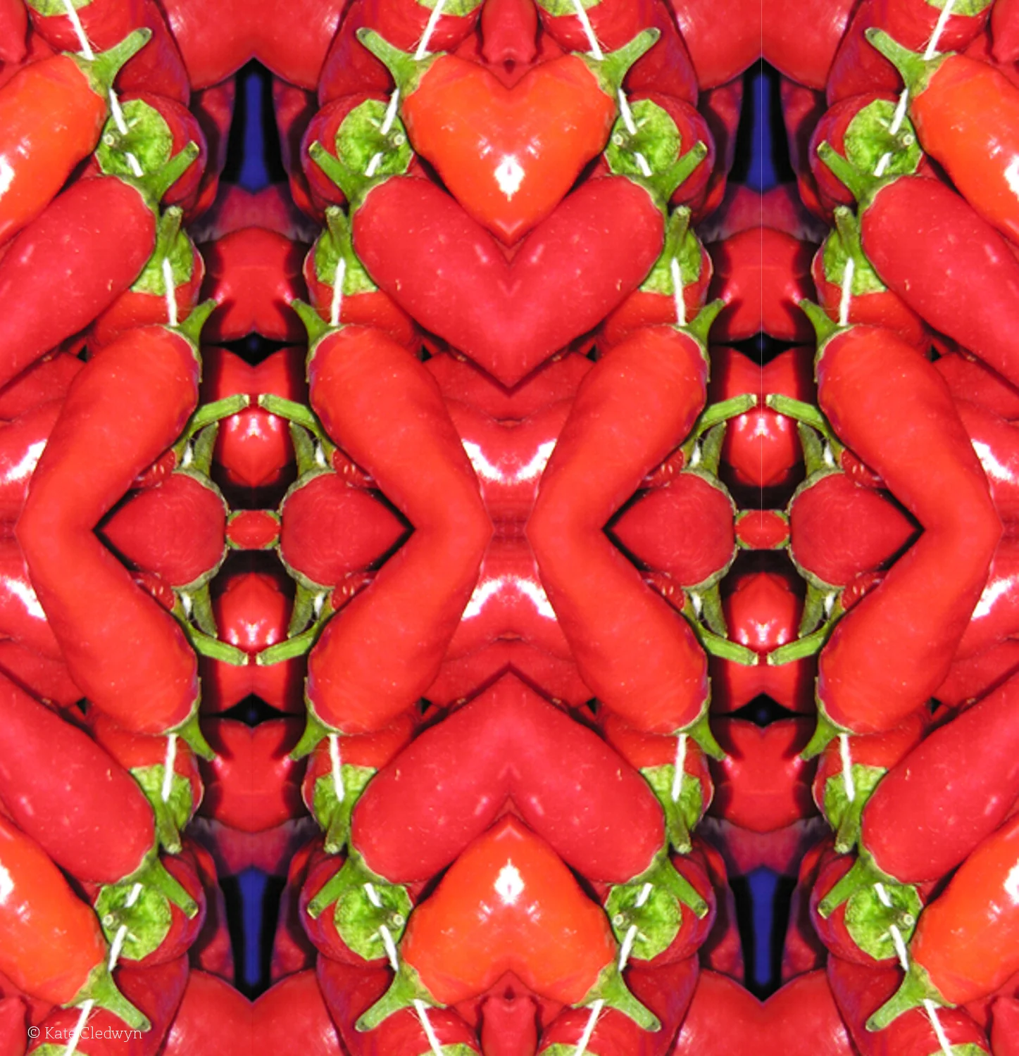 Hot Chillies