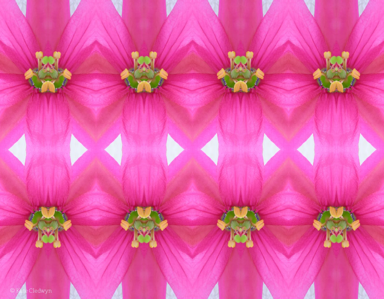 Pinky