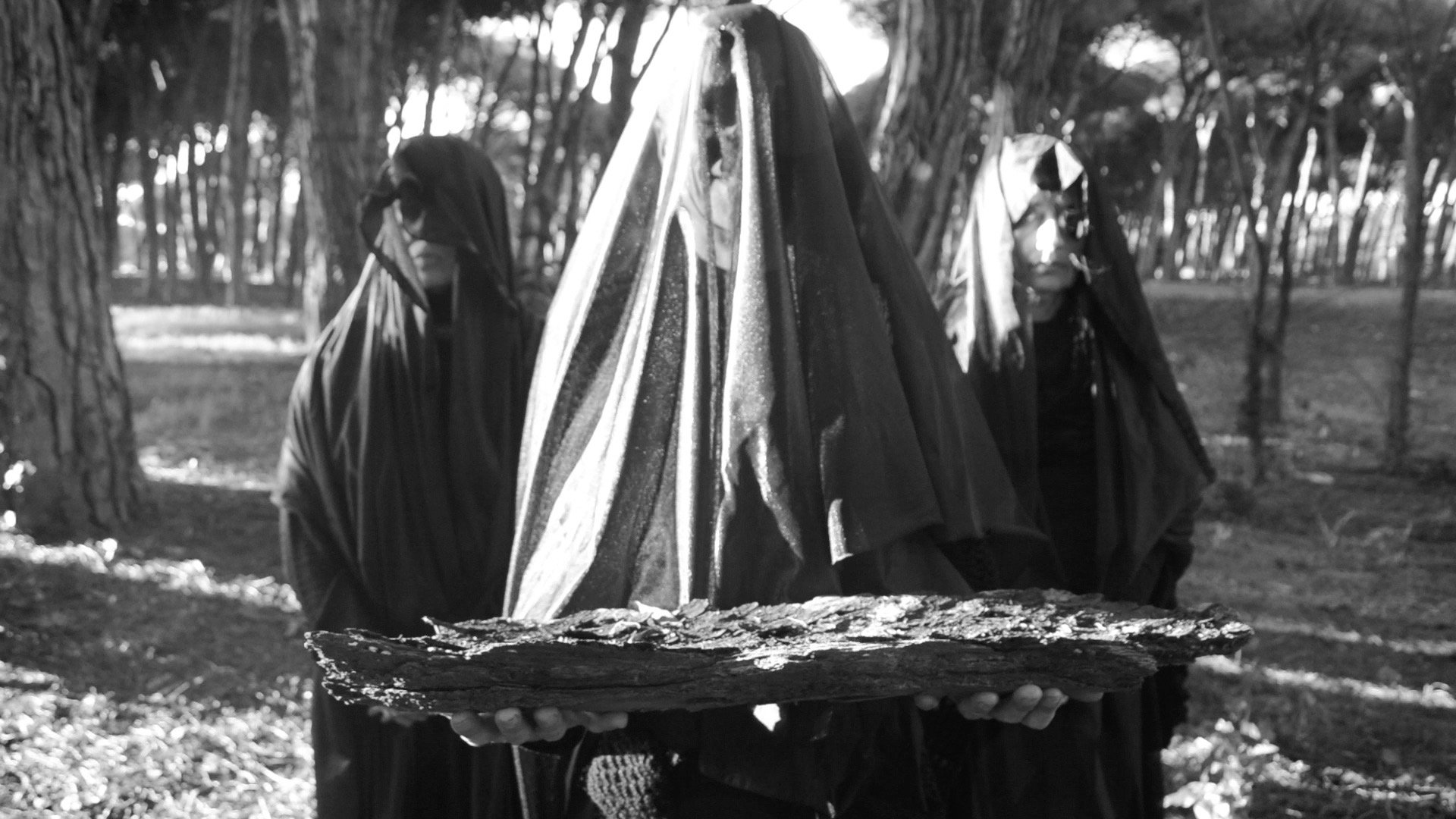 Tree Mourners: Performative Actions for a Dying Forest - Returning