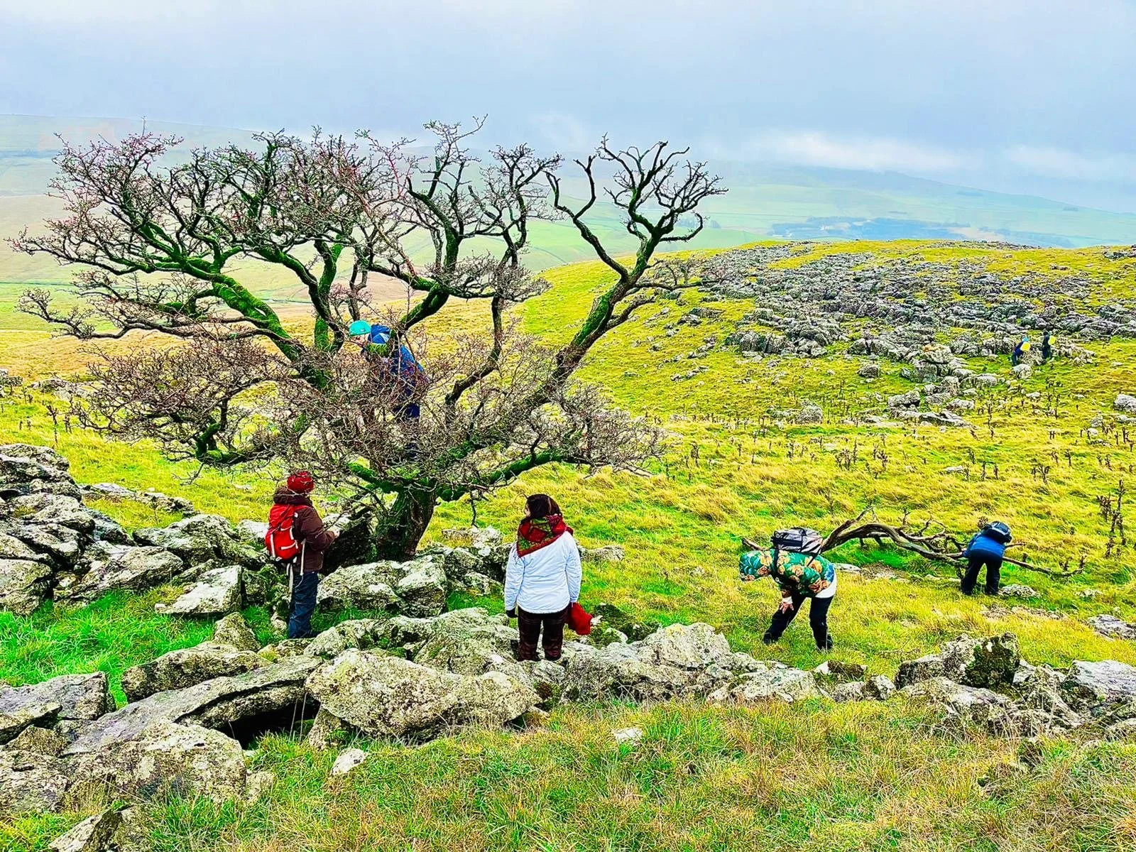 Ecosomatic Connectedness and Cultural Regeneration: A Practice-Based Conversation