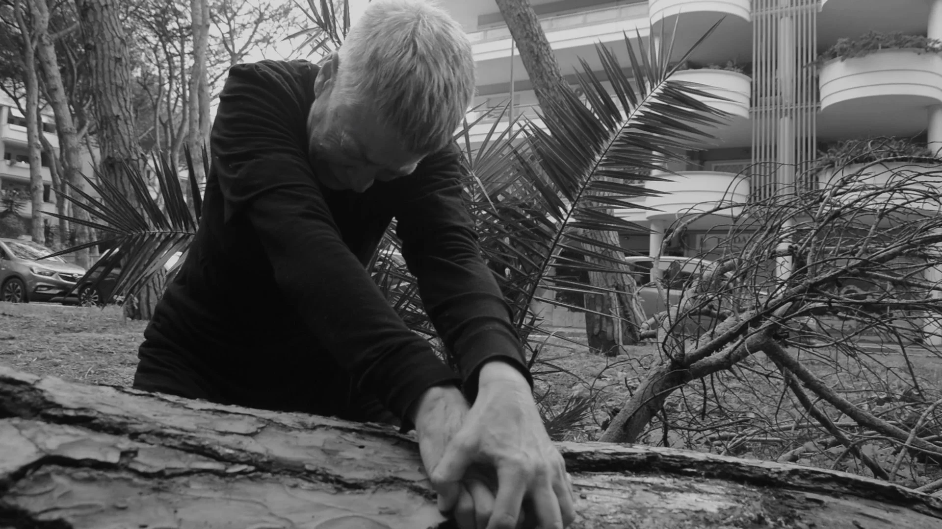 Debarking – Ecosomatic Lament for a Dying Forest