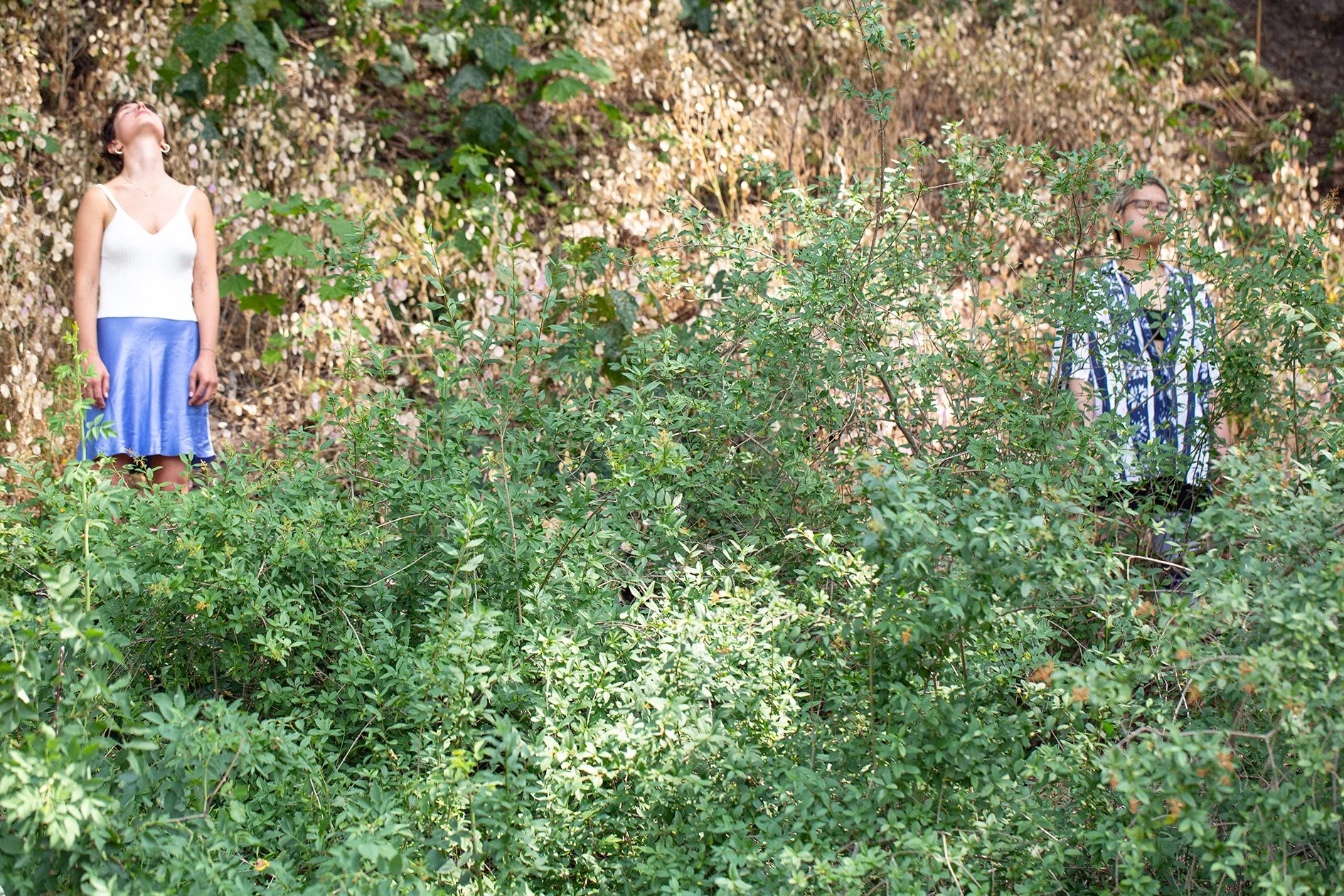 Somatic Arts and Liveable Futures: Embodying Ecological Connections