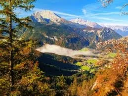Alpine Ecosomatics: Kinesthetic Attunements and Living Feedbacks (Practice-based Research Workshop)
