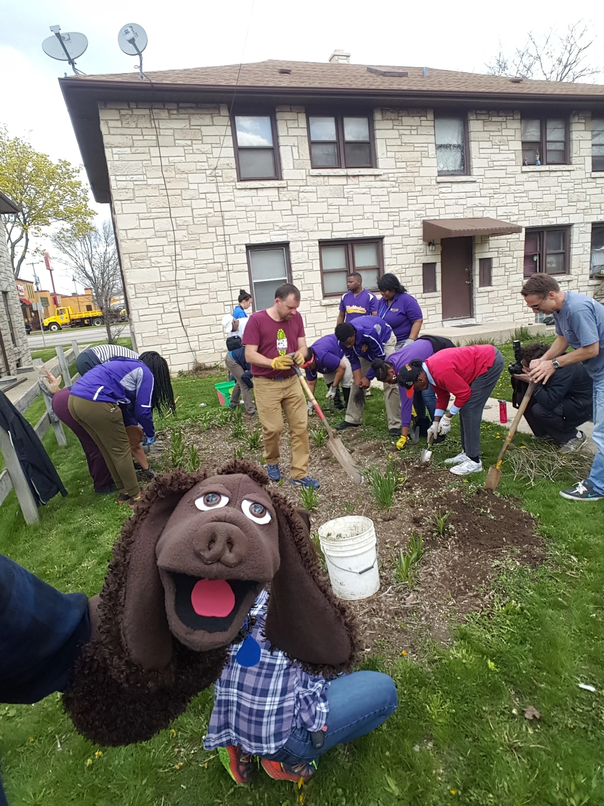 Building one of 6 new rain gardens in the Century City Triangle Neighborhood with 10 seniors from the Milwaukee Collegiate Academy. 