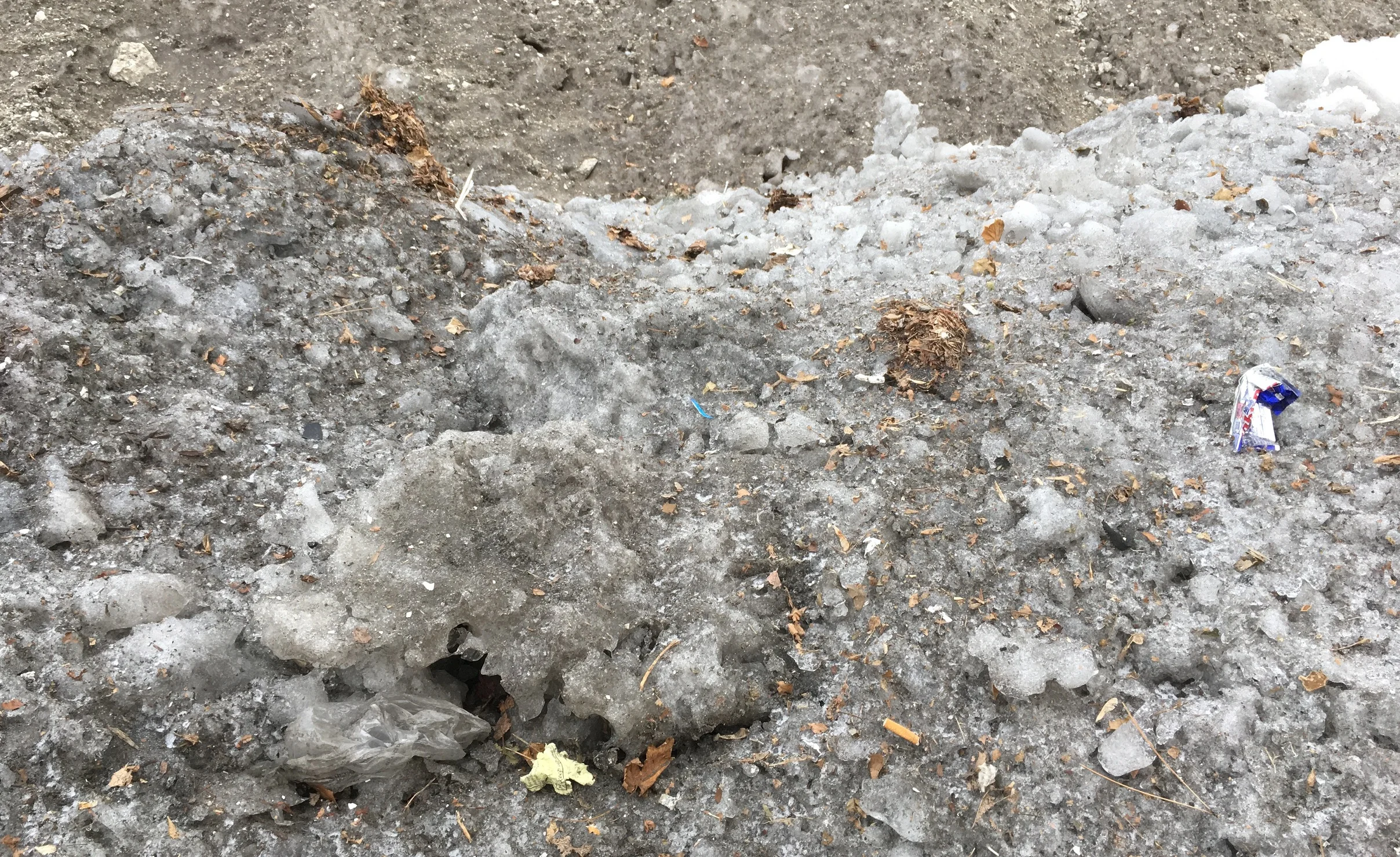 Piled snow contains pollutants such as salt, leaves, litter, oil, heavy metals, sediment and more.