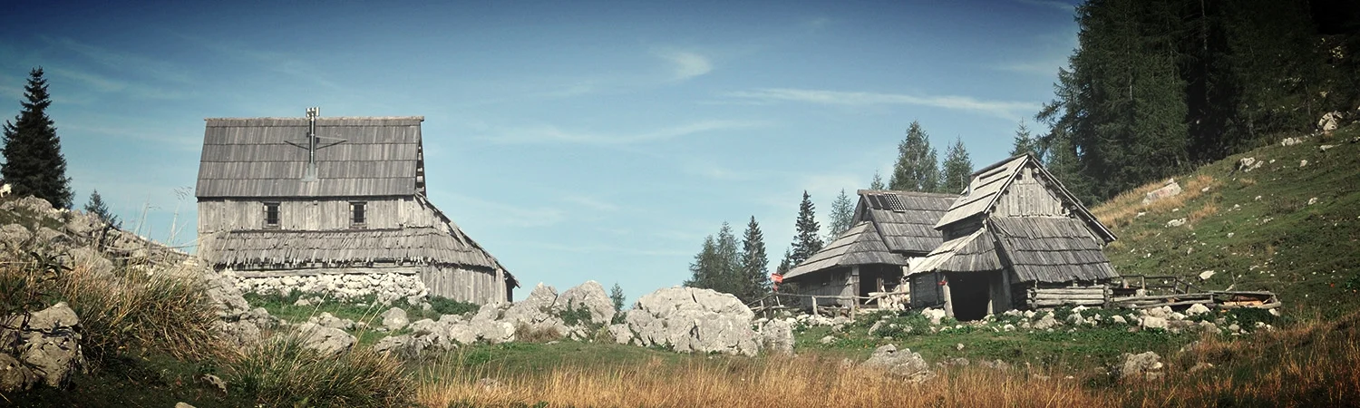 hiše / ALI JE LESENA HIŠA GOSPODARSKA IKONA