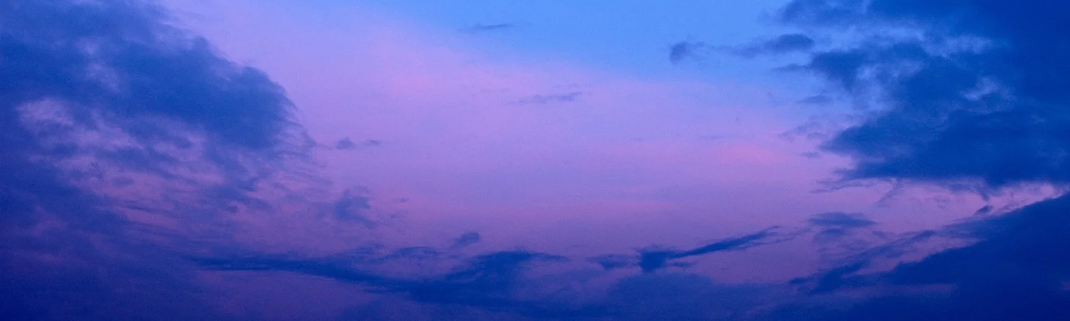 Delo / Arhitekti se danes bolj prilagajajo naročnikom