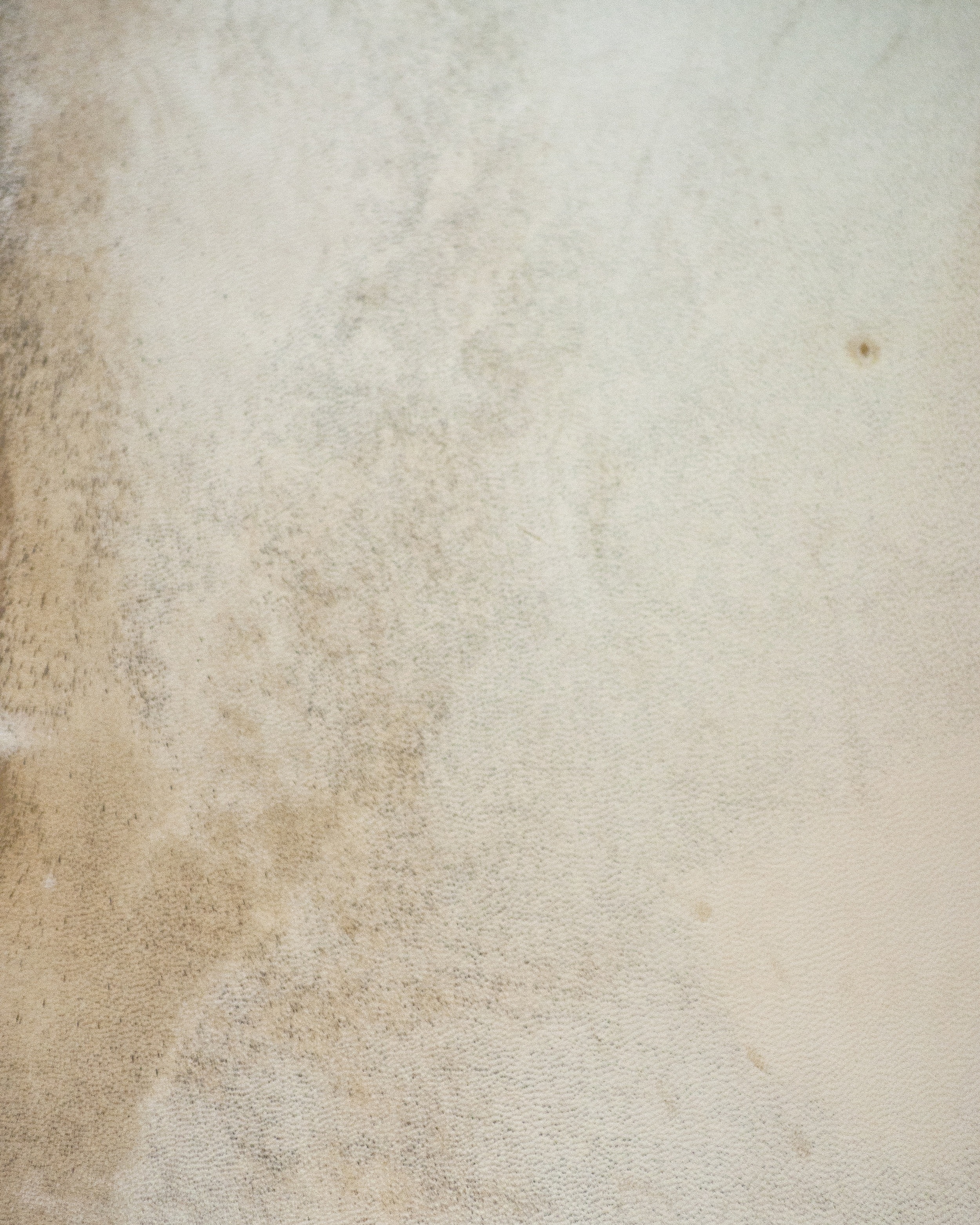 Goat Parchment