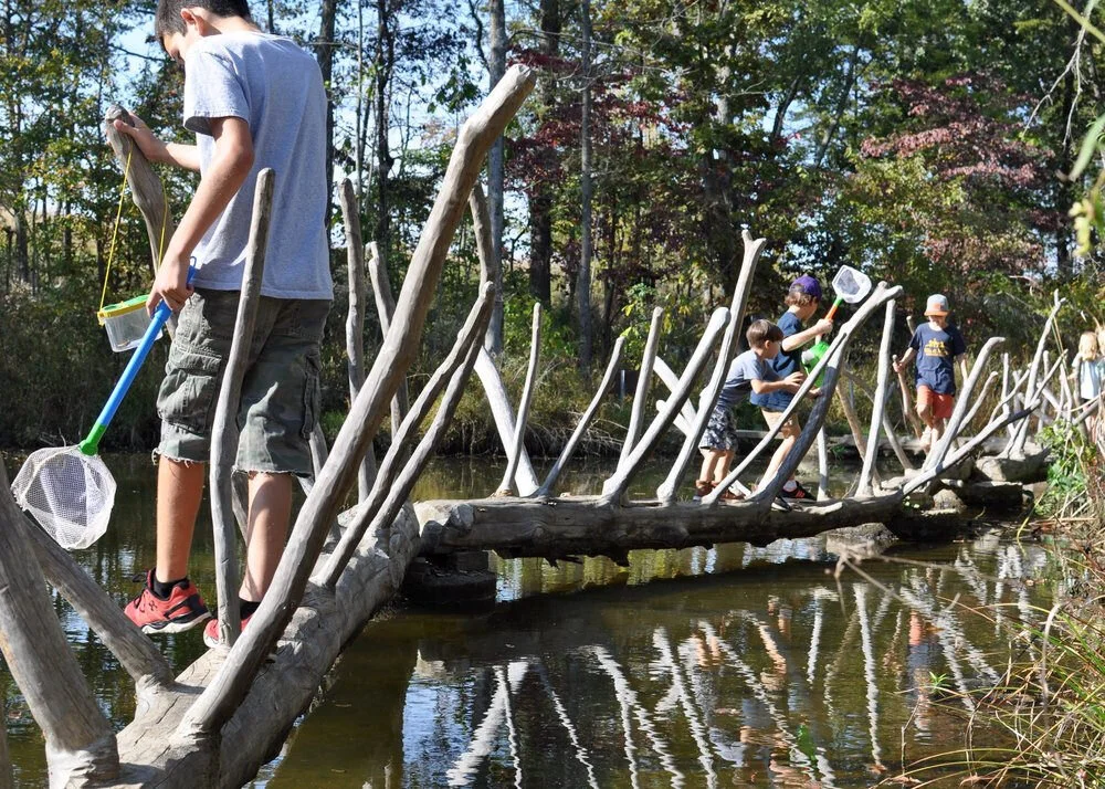 Lower Elementary Play Date