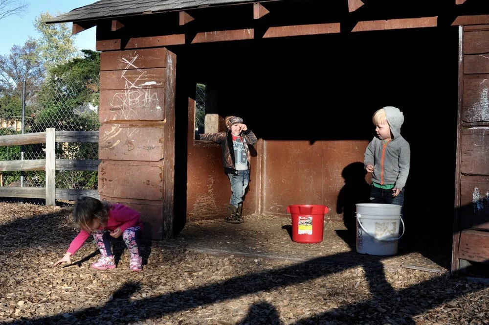 A Bucket and Some Wood Chips