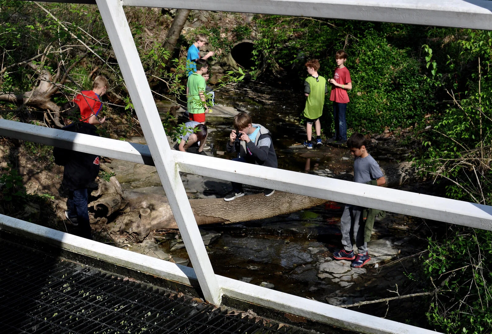 Upper Elementary Photo Hike