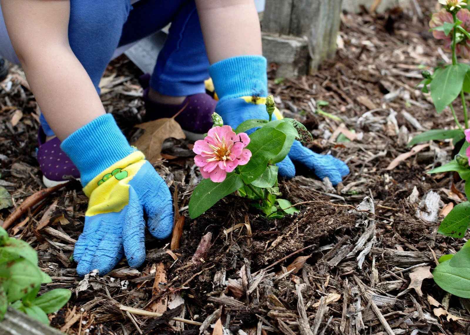 Gardening for Earth Day