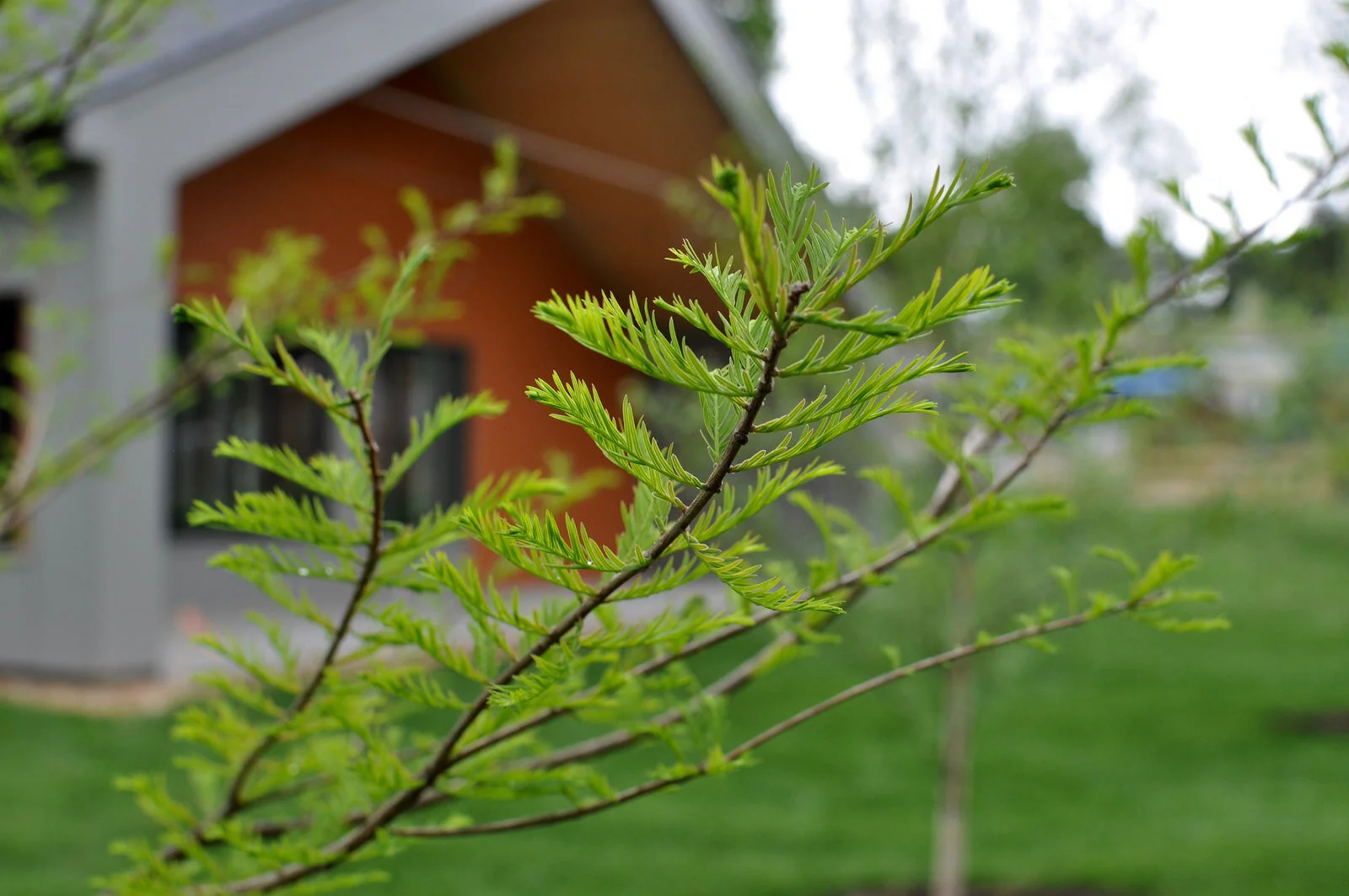 May at Villa di Maria