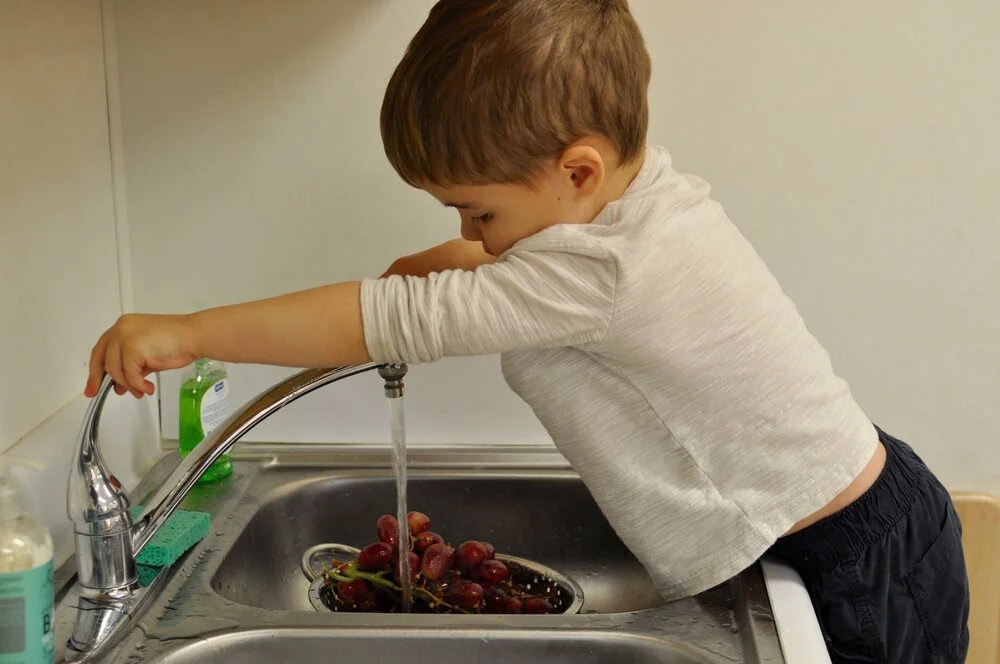 An Introduction to Practical Life