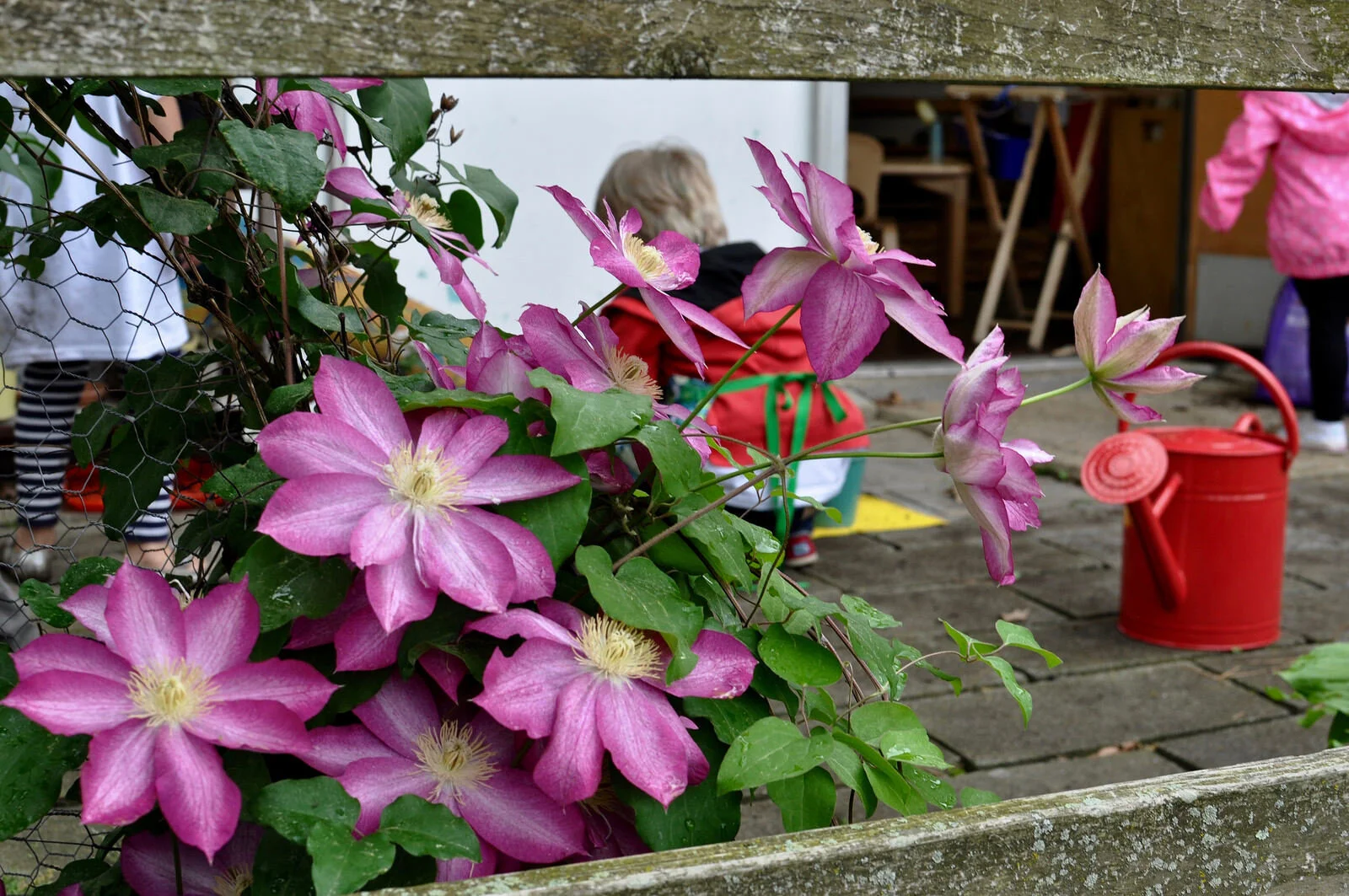 Introduction to Care of the Environment