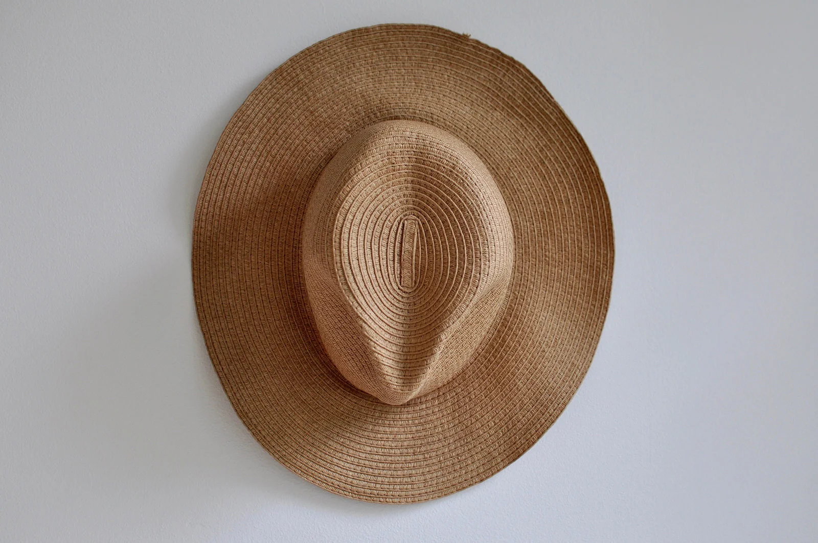 Get Ready for the Hoedown!