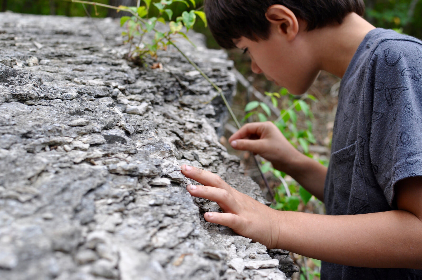Highlands Rock Quarry Fossil Hike